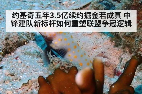 约基奇五年3.5亿续约掘金若成真 中锋建队新标杆如何重塑联盟争冠逻辑